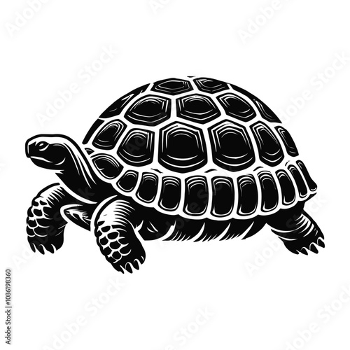 Tortoise Silhouette Crawling