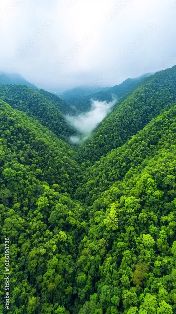 Obraz premium landscape mountain