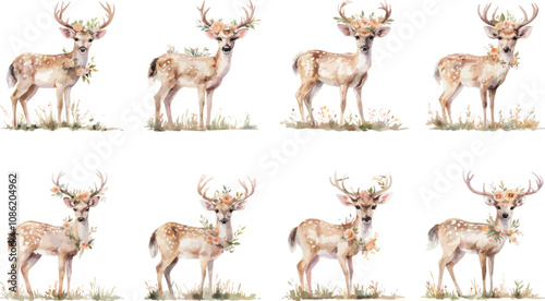 floral deer watercolor clipart
