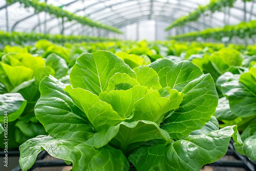 High-Tech Vertical Farm with LED-Lit Plants photo