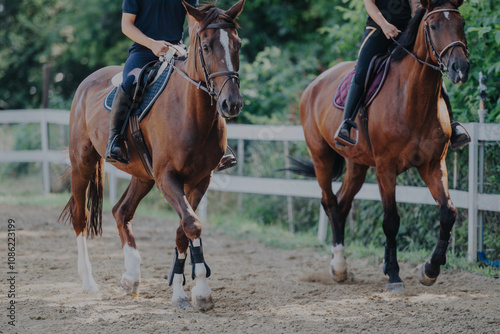 Two equestrians riding brown horses in an outdoor arena, showcasing skills and collaboration. The image captures the elegance and discipline of horseback riding in a natural setting.