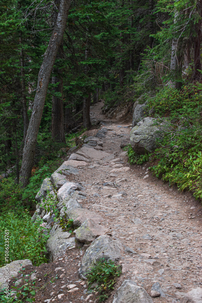 Naklejka premium Hiking Trail