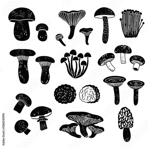 Set of edible mushrooms in black and white woodcut style. Hand-drawn vector illustrations.