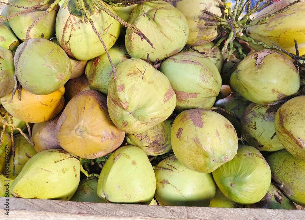 pile of green young coconuts sold at the traditional market pile of green young coconuts sold at the traditional market