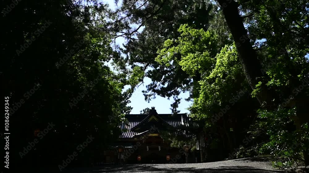 晩夏の安宅住吉神社 (石川県小松市, 2024年9月) 晩夏の安宅住吉神社 (石川県小松市, 2024年9月)