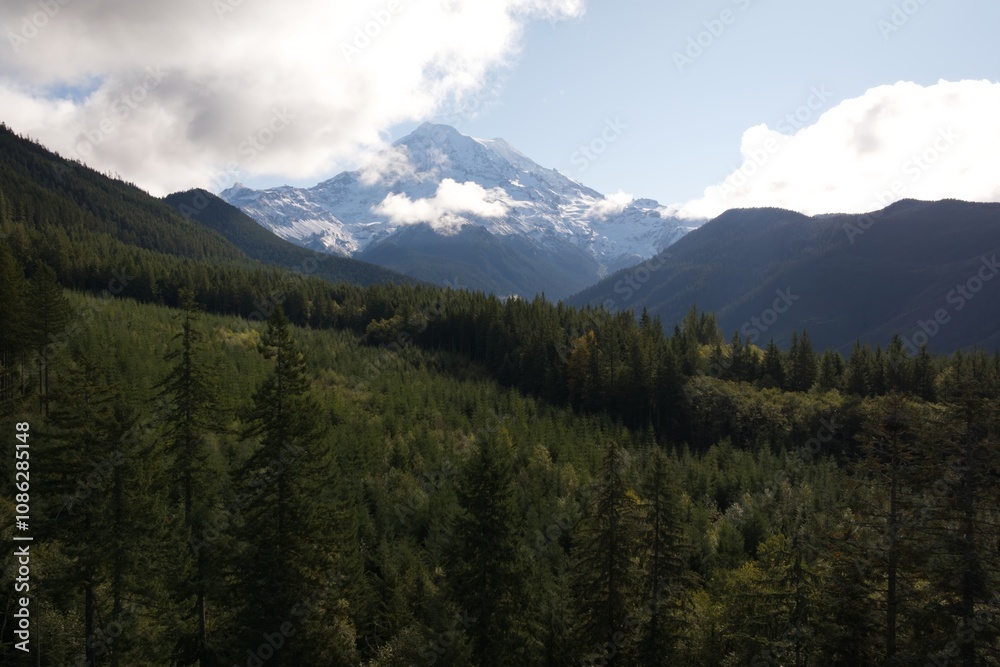Fototapeta premium A stunning view of Mount Rainier framed by a dense forested valley under a partly cloudy sky.