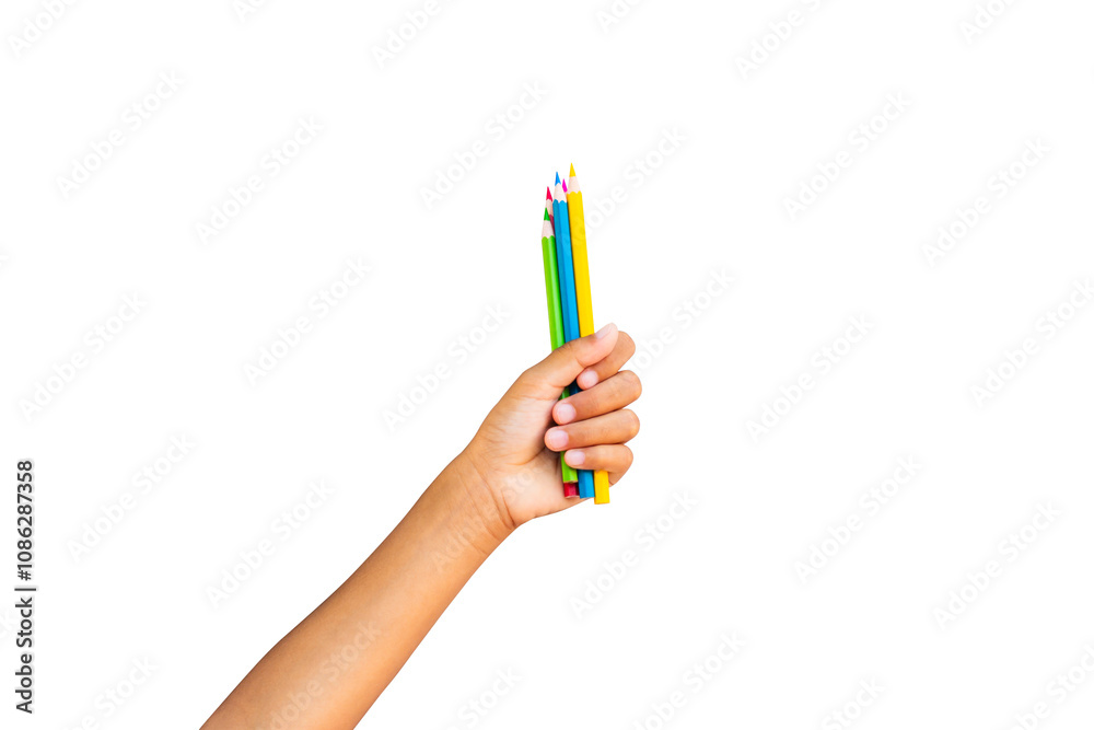 Child's hands holding colored pencils isolated on transparent background.