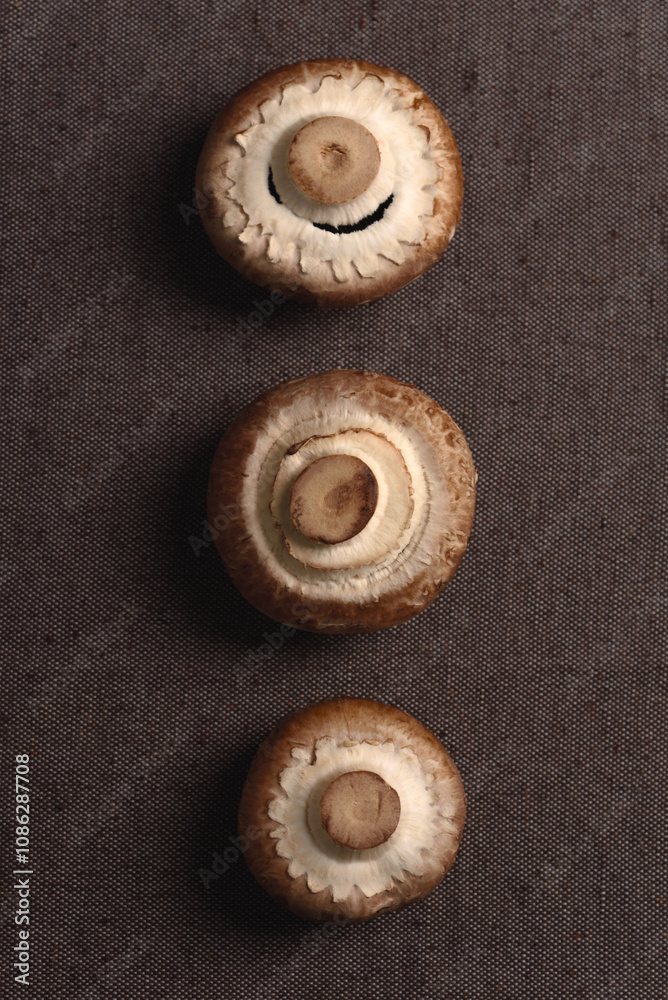 Natural fresh portobello mushrooms for healthy and vegetarian food ingredients Natural fresh portobello mushrooms for healthy and vegetarian food ingredients