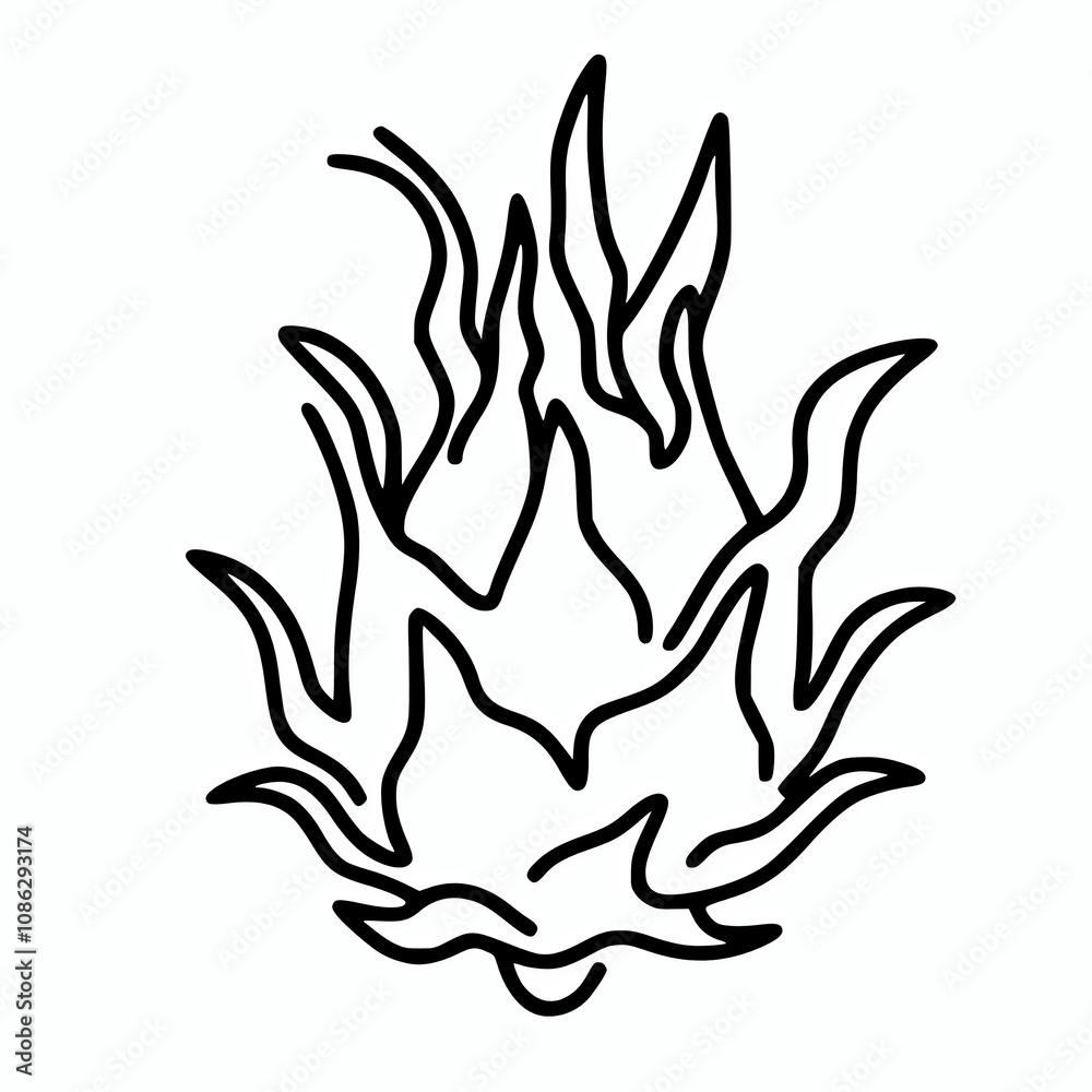 Line silhouette of a dragon fruit vector element Line silhouette of a dragon fruit vector element