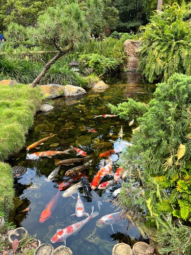 Photography japanese garden with waterfall