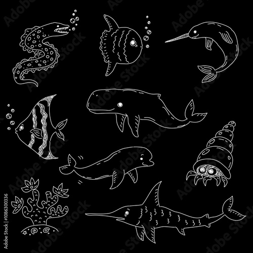 sea creatures drawn with white pen on black background: moray eel, sunfish, narwhal, triangle fish, sperm whale, beluga, swordfish, corals, set of crustaceans set photo