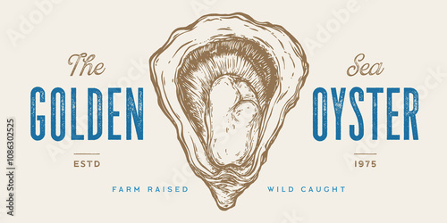 Oyster, seafood. Vintage retro print, seafood oysters sketch, logo sign template, ink pencil style drawing, engrave old school. Hand drawn sketch oysters. Vector Illustration