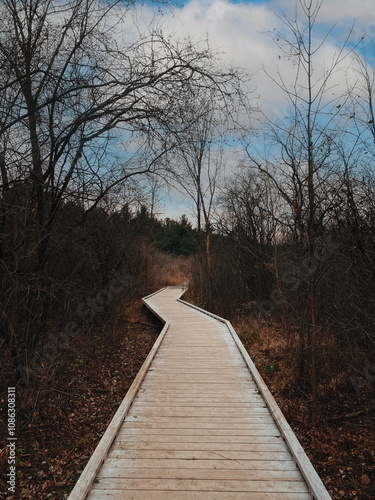 Autumn walk along the Mud Lake Trail in Ottawa, Canada. A winding wooden boardwalk leads through a tranquil forest of bare trees, with a blue sky peeking through the branches.