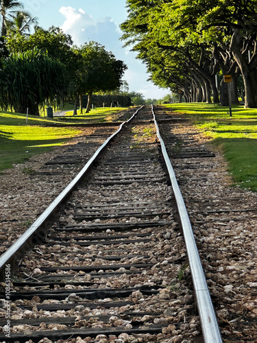 Scenic Railroad Through Ko' Olina, Hawaii: Captivating Coastal Journey,  photo