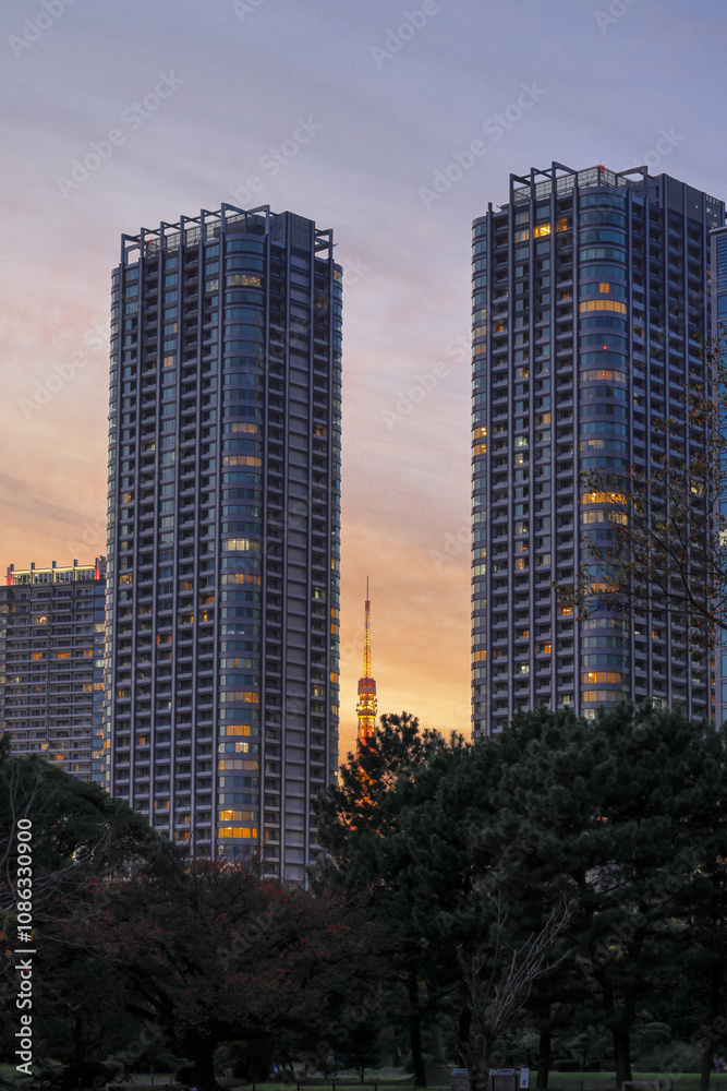 Obraz premium 都心散歩 晩秋夕暮れの浜離宮 