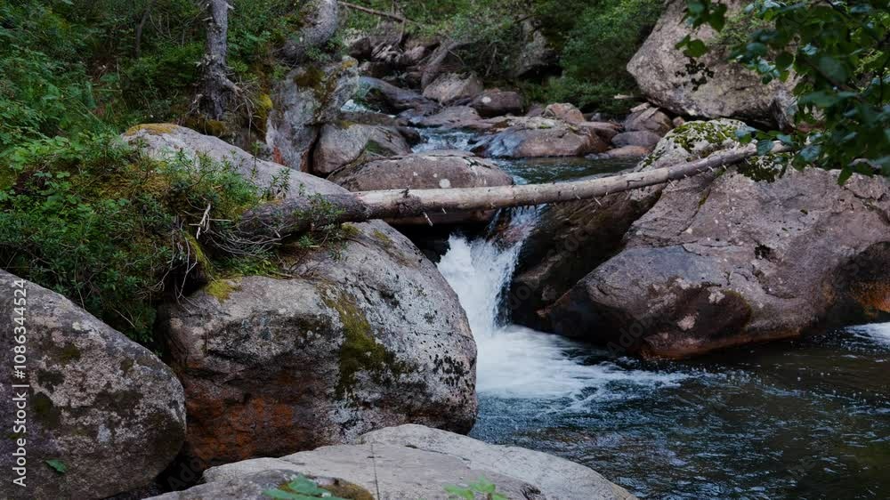 Small stream cascades over rocks in a forest surrounded by lush green foliage and mossy boulders Small stream cascades over rocks in a forest surrounded by lush green foliage and mossy boulders