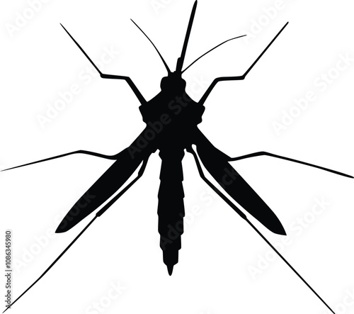 Mosquito full body silhouette illustration