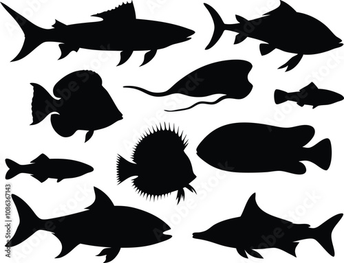 Various fish silhouettes swimming together in a creative underwater design