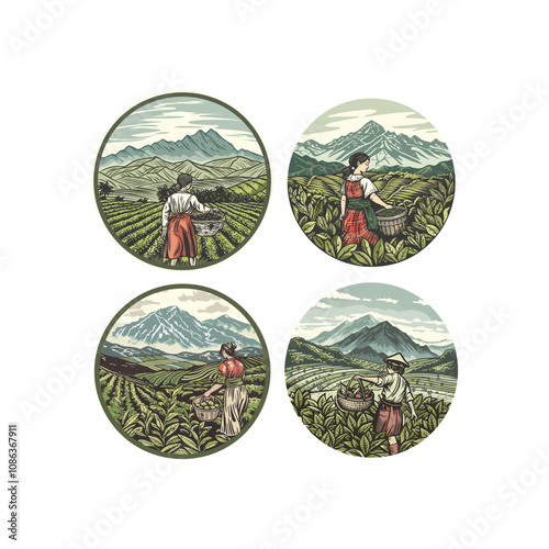 woman picking tea leaves on a plantation design vector artwork