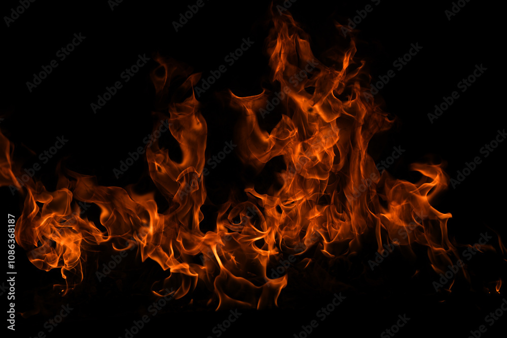 The fire, burning flame. Large burning flaming fire. The fire, burning flame. Large burning flaming fire.