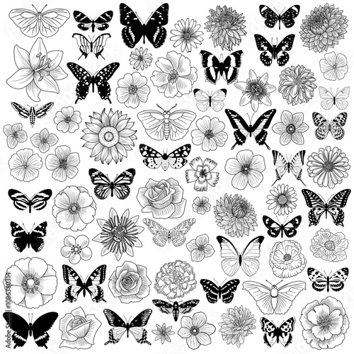 set of drawing flowers and butterflies, floral graphic design elements at white background, hand drawn illustration