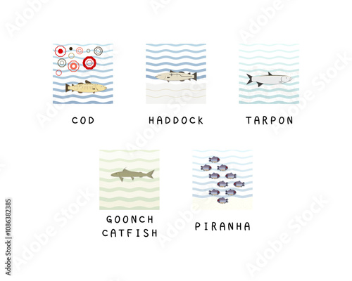 Set of editable fish vector templates.	