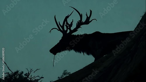Silhouette of a Majestic Stag on a Hilltop
