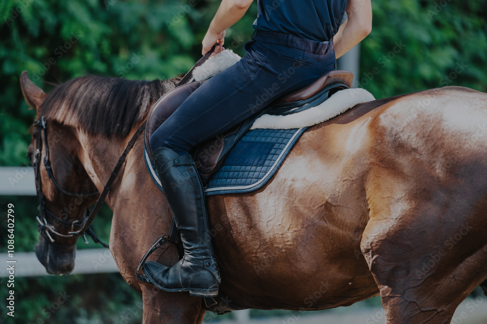 A rider dressed in black riding attire sits on a chestnut horse. Green foliage forms the background, adding a serene and natural ambiance to the equestrian scene. A rider dressed in black riding attire sits on a chestnut horse. Green foliage forms the background, adding a serene and natural ambiance to the equestrian scene.