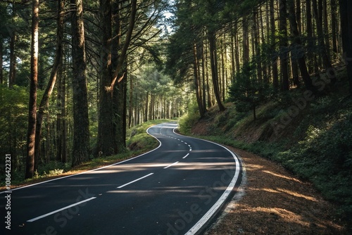 Black asphalt road winding through a forest with white dividing lines, forest road, tree line, rural landscape, winding path