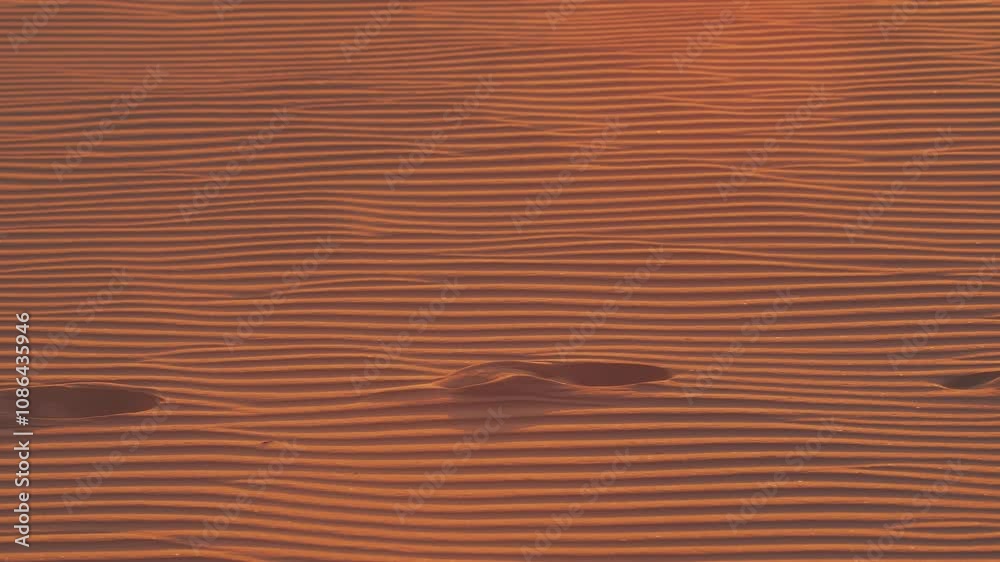 Footprints trail across rippled desert sand as the warm light of sunset bathes the landscape in gold. Ideal for themes of travel, solitude, exploration, and natural beauty. Footprints trail across rippled desert sand as the warm light of sunset bathes the landscape in gold. Ideal for themes of travel, solitude, exploration, and natural beauty.