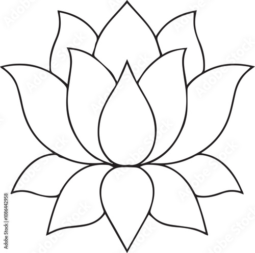 
Hand drawn Waterlily outline illustration