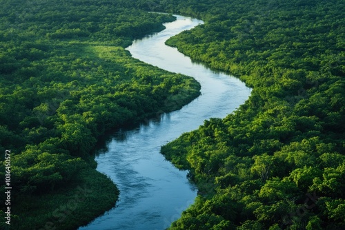 Aerial View of a Serpentine River Flowing Through Lush Green Forested Landscape