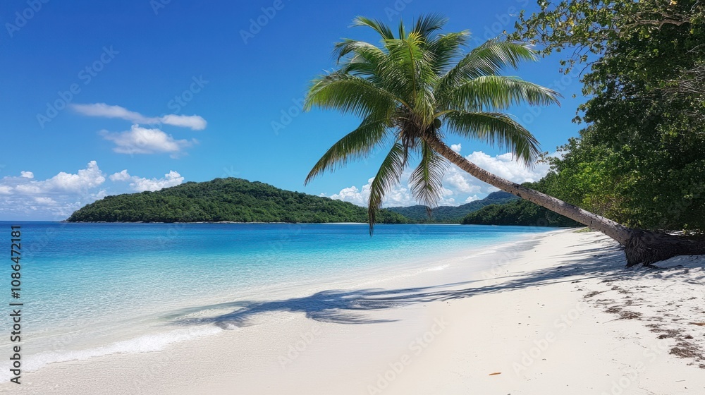 Pristine tropical beach with white sand and a palm tree leaning toward turquoise waters Pristine tropical beach with white sand and a palm tree leaning toward turquoise waters