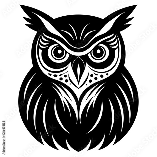 owl on white background