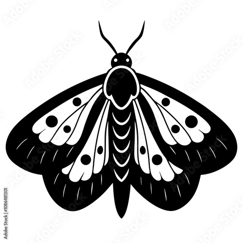 gypsy moth on white background