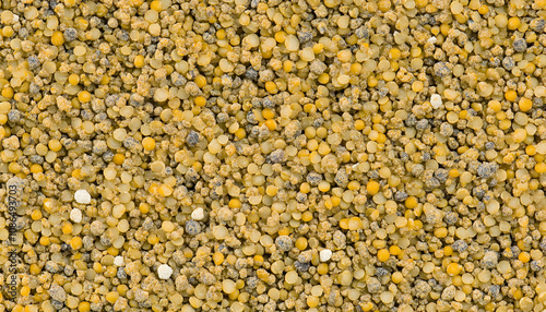 Close-up texture of a mix of yellow and brown lentils, ideal for backgrounds or food-related designs.