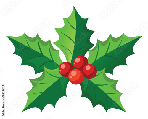 Christmas holly with red berries vector merry christmas leaves