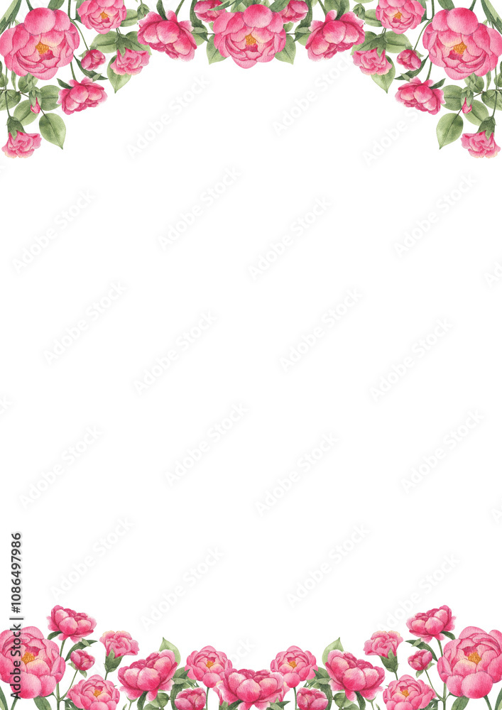 Hand-drawn frame of lush pink peonies in soft petals Hand-drawn frame of lush pink peonies in soft petals