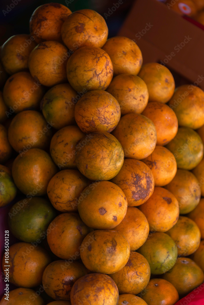 Bright and fresh oranges on the tree ready for harvest Bright and fresh oranges on the tree ready for harvest