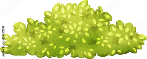 Hand-drawn light green bush Watercolor