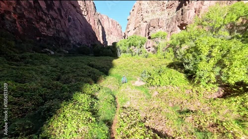 Hiking thru a canyon with green landscape in Havasupai on the way to Beaver Waterfall