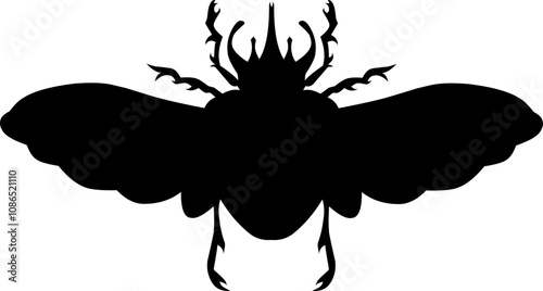 bettle vector art black and white