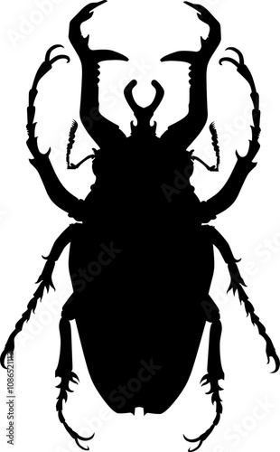 bettle vector art black and white