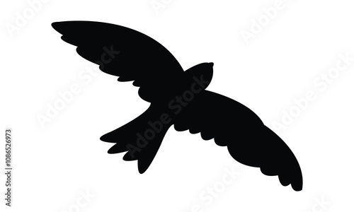 Flying Swiftlet Bird Silhouette Design  And Illustration.  photo