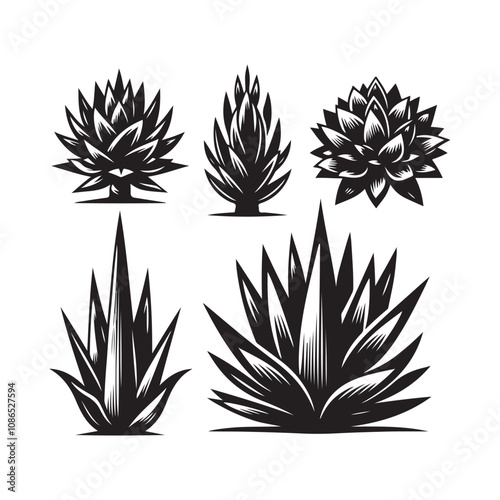 Agave silhouette vector. Agave plant vector icon silhouette illustration