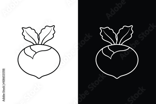 Hand-Drawn Kohlrabi Illustration. Outline Vector of Turnip Cabbage