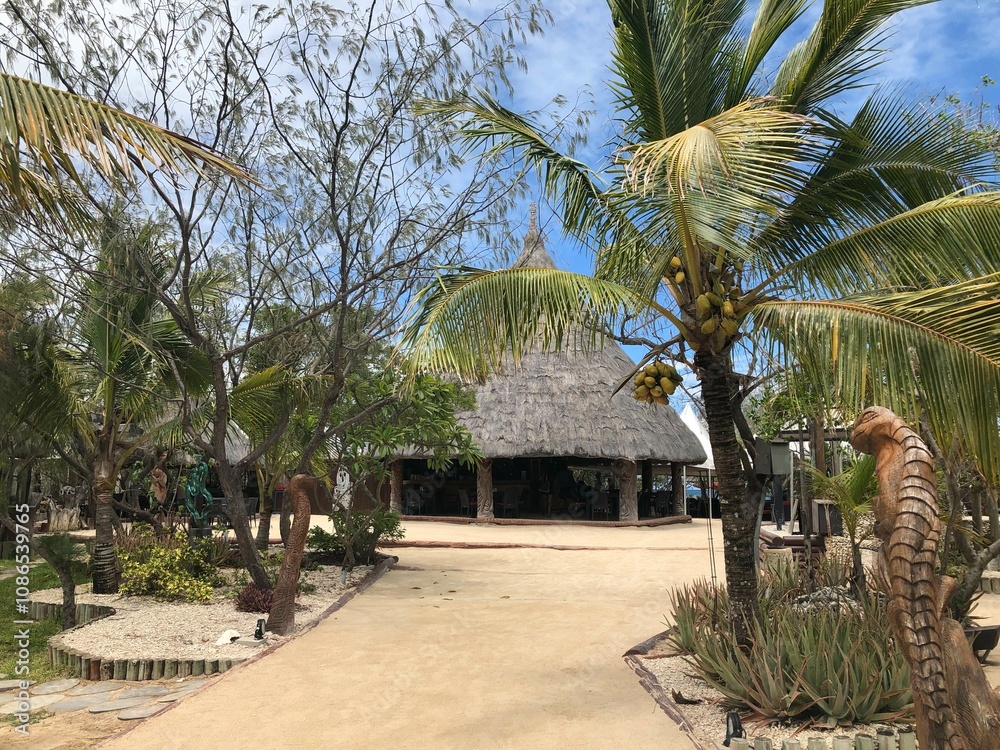 Fototapeta premium palm trees on the island
