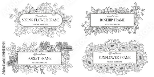 Hand drawn botanical frames with leaves and flowers. Vector illustration in sketch style isolated on white. Realistic forest design element. Space for text