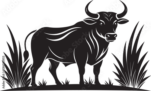 Zebu vector illustration silhouette transprant background photo