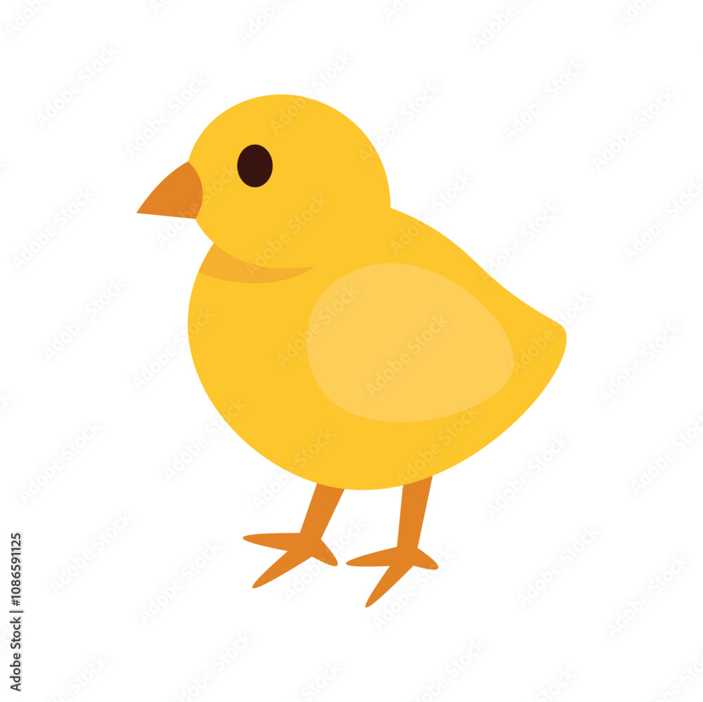 Chicken Vector Illustration - 05 Chicken Vector Illustration - 05